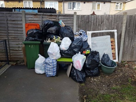 Professional garden clearance team at work in New Cross